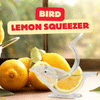 Lemon Squeezer
