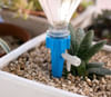 Gift Automatic Plant Watering Device - Assorted - Set Of 4