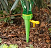 Buy Automatic Plant Watering Device - Assorted - Set Of 4