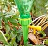 Shop Automatic Plant Watering Device - Assorted - Set Of 4