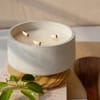 Candle - Draco Mogra Online