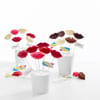 Shop Chocolate Mold - Lips - Single Piece