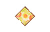 Shop Coasters - Wooden Citrus - Set Of 6
