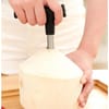 Coconut Opener - Stainless Steel - Single Piece Online
