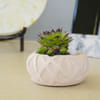 Concrete Ribbon Planter Online