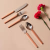 Cutlery With Copper Plating On Handles - Set Of 5 Online