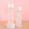 Gift Daisy Print Frosted Bottle - Assorted - Single Piece