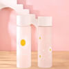 Buy Daisy Print Frosted Bottle - Assorted - Single Piece