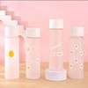 Daisy Print Frosted Bottle - Assorted - Single Piece Online