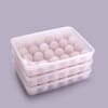 Buy Egg Holder Box - 24 Grids - Assorted - Single Piece