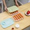 Gift Egg Storage Box - Ventilation - Assorted - Single Piece