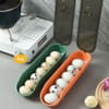 Gift Egg Storage Tray - Compact - Assorted - Single Piece