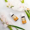 Fragrance Oil - Scents And Emotions - 10ml Online