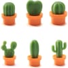 Gift Fridge Magnet - Cactus - Set Of 6
