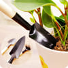 Buy Gardening Tools - Mini - Set Of 3