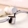 Gift Garlic Press - Assorted - Single Piece
