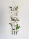 Buy Hanging Planter - Glass Tubes - Wooden - Single Piece