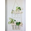 Hanging Planter - Glass Tubes - Wooden - Single Piece Online
