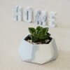 Shop Hexagonal Concrete Planter