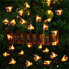 Buy Honey Bee LED String Lights