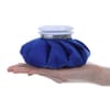 Shop Ice Bag - Reusable - Colorful - Single Piece