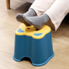 Buy Kitty Face Stool - Assorted - Single Piece