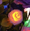 Shop LED String Light - 20 White Roses - Multicolour - 2.25m