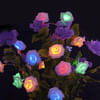 LED String Light - 20 White Roses - Multicolour - 2.25m