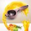 Shop Lemon Squeezer - Copper - Single