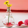 Light Bulb Shaped 500 ML Bottle - Assorted - Single Piece Online