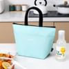 Gift Lunch Bag - Basic - Assorted - Single Piece