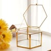 Organizer With Lid - Hexagon - Glass - Single Piece Online