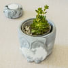 Buy Owl - Concrete Planter And Pen Holder