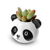 Gift Panda Face Planter - Assorted - Single Piece