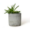 Patterned Stationery Holder And Planter Online
