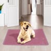 Pet Litter Mat - Paw - Single Piece Online