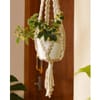 Plant Hanger - Pearl - Single Piece Online