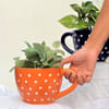 Planter - Dotted Cup - Orange - Single Piece Online