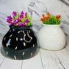 Gift Planter - Flat Pot - Black - Single Piece