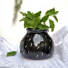 Planter - Flat Pot - Black - Single Piece Online