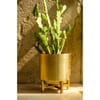 Planter - Gold With Gold Stand - Single Piece Online