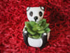 Gift Planter - Panda - Single Piece