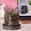Planter Pot And Plate - Multicolor Online