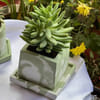 Planter - Sage Green - Square - Cement - Single Piece Online