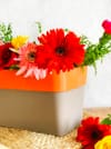 Gift Planter - Two Toned - Rectangular - Single Piece