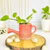 Planter - Watering Can - Single Piece Online