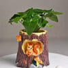 Buy Resin Squirrel Home - Assorted - Single Piece