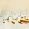 Buy Shot Glasses in Personalized Bottle Shaped Wooden Holder