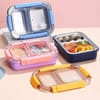 Spill-Proof 2 Grid Lunch Box - Assorted - Single Piece