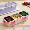 Buy Stainless Steel Three Grid Lunch Box - Assorted - Single Piece